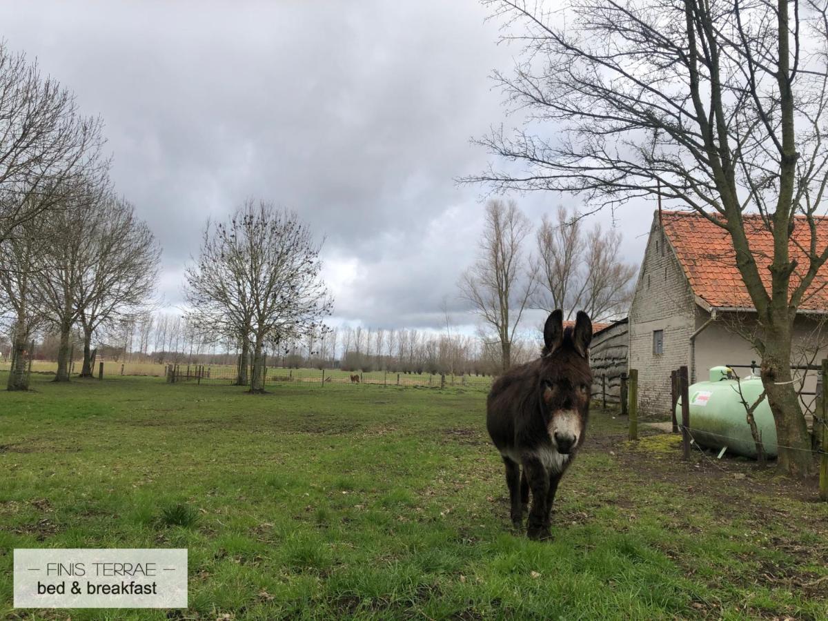 Appartement Aan Puyenbroeck Wachtebeke 외부 사진